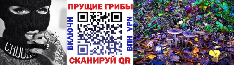 Галлюциногенные грибы GOLDEN TEACHER  Кисловодск 