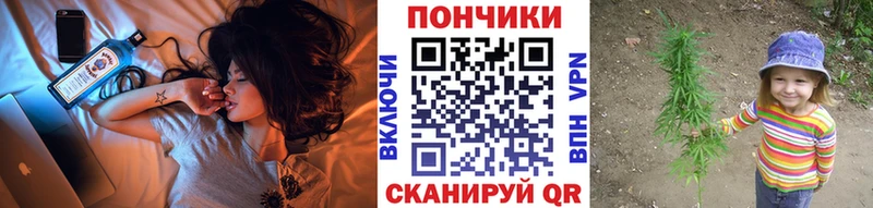 Каннабис сатива  Кисловодск 